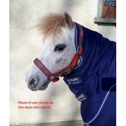 Licol Diamond HB (-29.1%)