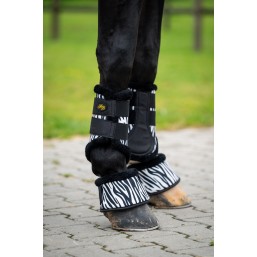 Guêtres dressage Zebra (-30%)
