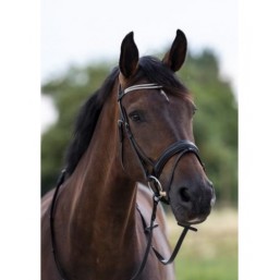 Bridon Trinidad Cob (-50%)
